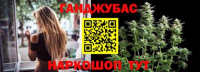 стафф Донецк