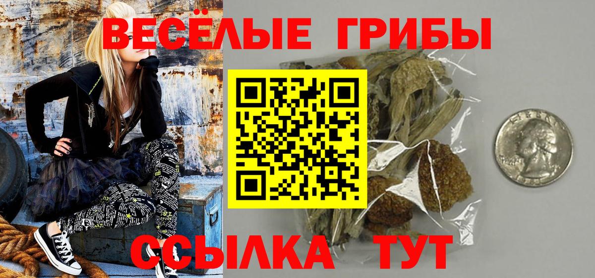 Псилоцибиновые грибы GOLDEN TEACHER  Заринск  Галлюциногенные грибы прущие грибы 