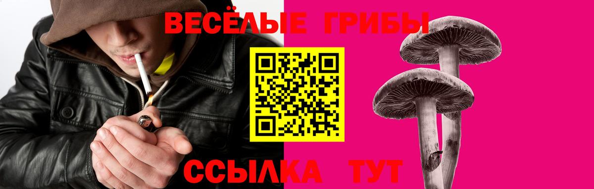 Псилоцибиновые грибы Cubensis  Псилоцибиновые грибы мицелий  Вход с VPN  Заринск 